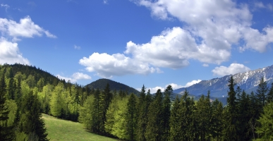 iStock_000003483037Medium-3ac84338cc79f3645314c424ff062dc4.jpg