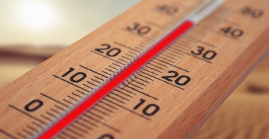 thermometer-ga4d9a36ae_1920-5b332ccf75fb89f4e6ebff37b763a279.jpg