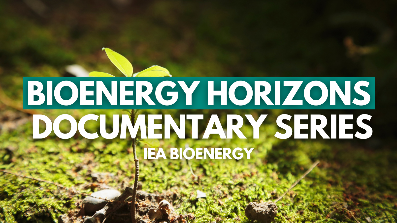 IEA Bioenergy